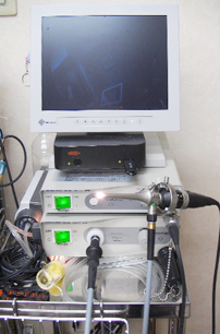 耳内視鏡システム