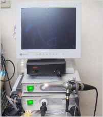 耳用内視鏡システム