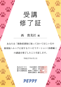 椎間板ヘルニアに対するリハビリテーションセミナー